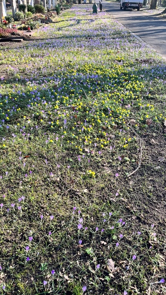 23-02-13 13-02-52 4195.jpeg